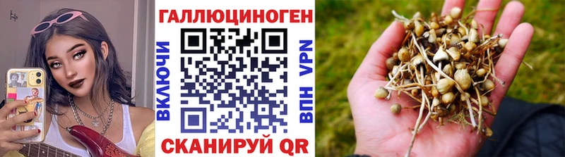 купить наркотики сайты  Лагань  Псилоцибиновые грибы Magic Shrooms 